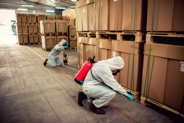 Best Residential Pest Control  in Hamilton, GA