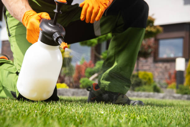 Best Wasp Removal Services  in Hamilton, GA
