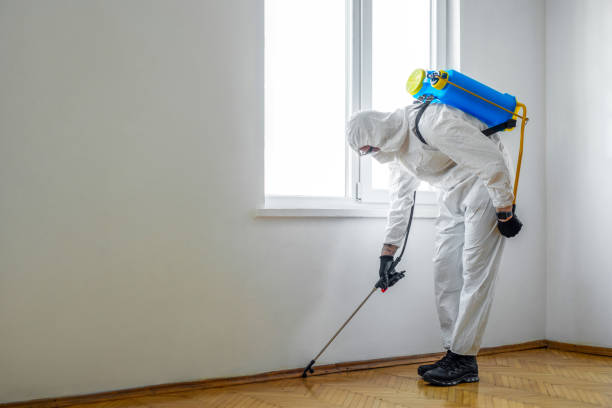 Pest Control Cost in Hamilton, GA