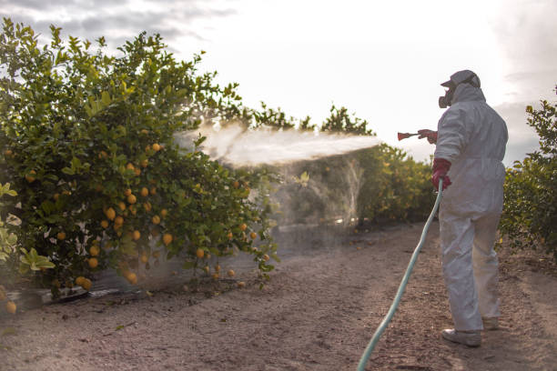 Best Residential Pest Control  in Hamilton, GA