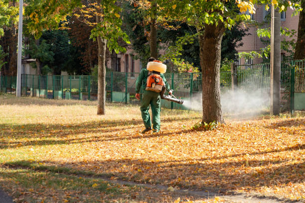 Best Pest Control Cost  in Hamilton, GA