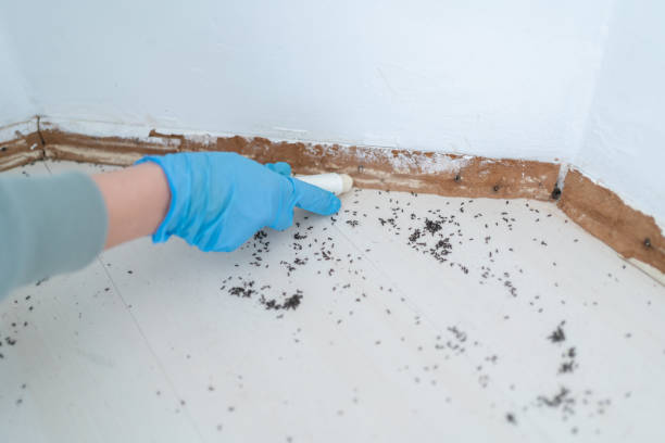 Best Pest Prevention Services  in Hamilton, GA