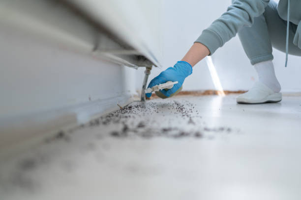 Best Insect Control  in Hamilton, GA